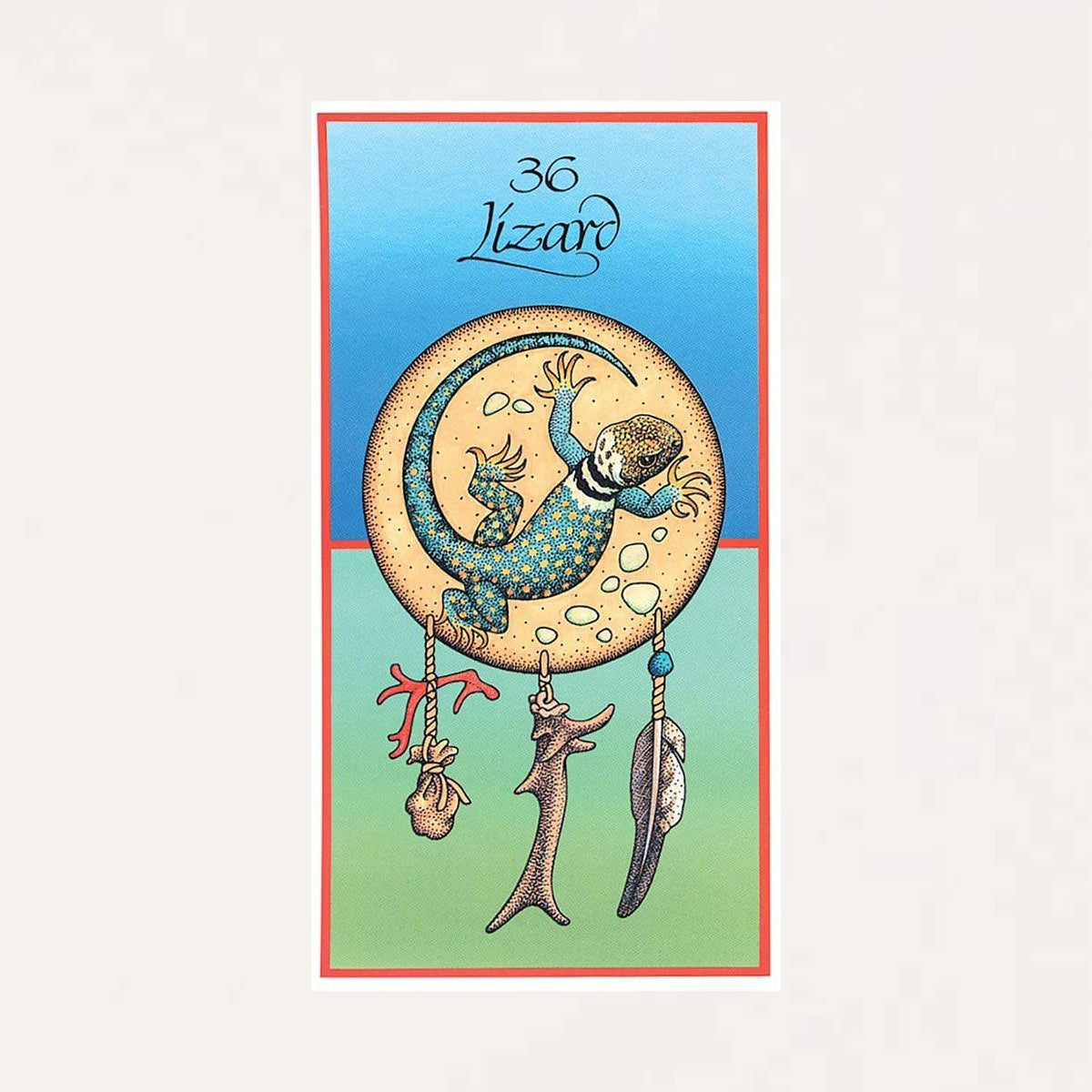 Medicine Cards & Book